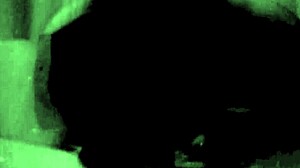 vintage glimpse dark lantern entertainment presents my secret life the 19th century diaries of an english gentleman