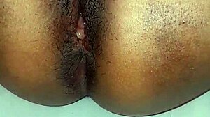 Curvy Latina Sister Temptation