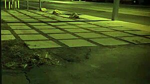 Teen 18+ Caught Masturbating, Then Passionate Domination And Fucking 😈