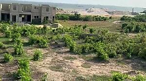 Quick sex with engineer at the site, rough and bent over.