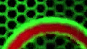 Maggie Sucks Cock And Gets Cum All Over Her Huge Natural Tits