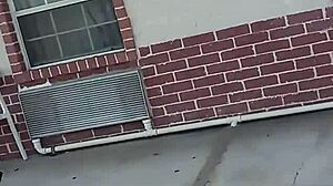 i had a threesome with chocolate and sexy thick, it was amazing