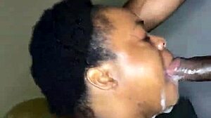 bbw slut sucks step brothers dick for rent