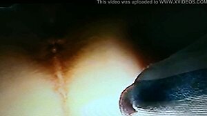 blindfolded wife, are you ready for the rabbit?