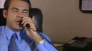 Fucking The Brunette Secretary In Fishnets