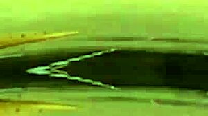 Hotguyshouse Presents 18-Year-Old Latin Hunk Jay Raw In Gay Encounter