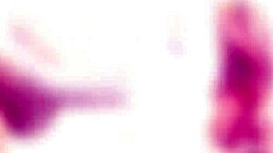 syren de mer vs mike and dilan brown with balls deep anal dap gapes swallow gio1053