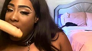 Lexo Butterfly sucks that cock off the wall hard