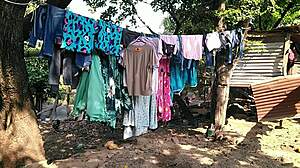 fulfilling pregnant woman's lesbian cravings with sucking and assfucking!