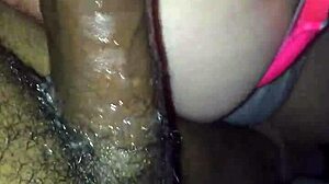 White girl emily sucking dick in interracial