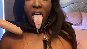 Lexo Butterfly sucks that cock off the wall hard