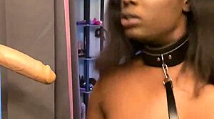 Lexo Butterfly sucks that cock off the wall hard