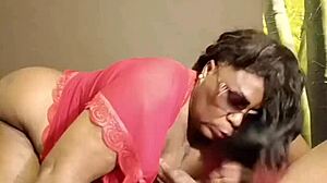 Nigarchrist - Update 1586 - Petal 20250709 160827 - Jul 09 2025