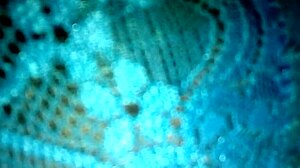 Blue Panties on My Wife in the First Part of Our Bedroom Scene