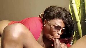 Nigarchrist - Update 1586 - Petal 20250709 160827 - Jul 09 2025