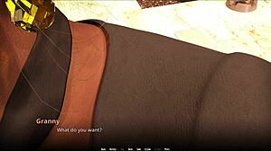 Wvm 211 Game Experience