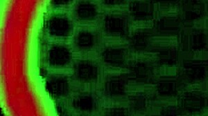 Curvaceous Nymphs Alexxxis Rides Big Cock In Outdoor Cowgirl And Doggystyle With Big Tits Bouncing!