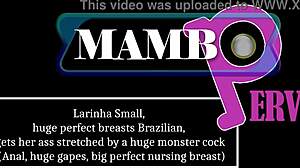 larinha small 18+ brazilian with perfect breasts takes monster cock in ass atm