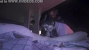 Spy webcam catches blowjob leading to cumshot