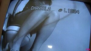 Busty blonde Dana sucks huge cock from glory hole in big tits blowjob