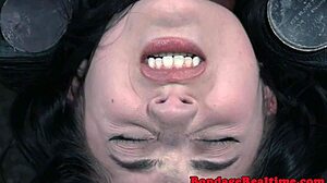 Does This Inked Submissive Love Getting Toyed Bound and Canned in Rough BDSM?