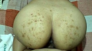 Morena gostosa dando no sofá com orgasmo e cuspe na bunda grande