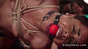 Monster cock sucking and anal at party!