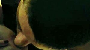 Driftwood and barefoot kontessa down south