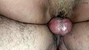 hungry for cock with hairy beaver and trimmed pussy