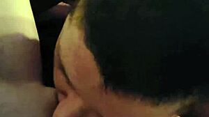 Driftwood and barefoot kontessa down south