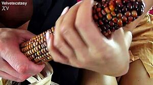 Bushwacker Series Introduction