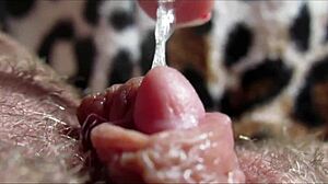 Big Clit Orgasm Captured in Closeup HD Detail