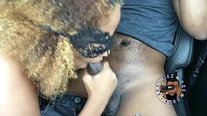 I'm excited about this public play season two trailer