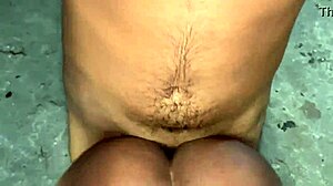 Le Pido A Mi Hermanastro Que Me Folle En Silencio!