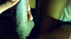 Thick mixed latina bent over taking ebony backshots doggystyle