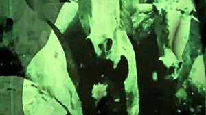 My Secret Life in Antique Hairy Retro Vintage Style