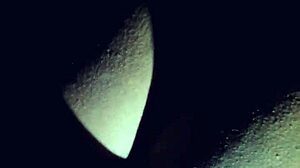 Thick mixed latina bent over taking ebony backshots doggystyle