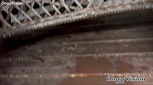 I took my first creampie in the pool with a big black cock 😏💦 bareback doggystyle action