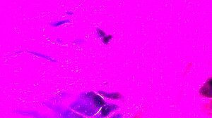 i uh feel so turned on giving this naughty blowjob to my husband as curly blonde wife. like choking on cock with deepthroat gagging and handjob teasing until orgasm.