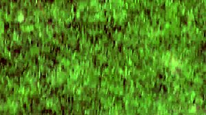 teen stepdaughter slammed by uncle in deepthroat doggystyle