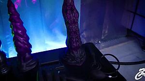 ksu colt's best solo videos from 2024