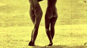 vintage illustration from antique retro era with classic style