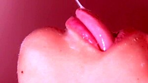 Japanese blowjob close up with pretty amateur fucking