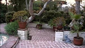 Angels Spread Wings for Double Penetration and Facial Cumshot in Interracial Lesbian Action with Blowjobs