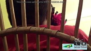 I Gave It To The Short Bar Owner Around The Corner Full Video On Xvideos Red