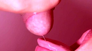 Japanese blowjob close up with pretty amateur fucking