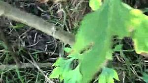 Oh yeah! Horny novinha agrees to fuck in the mato terrain!