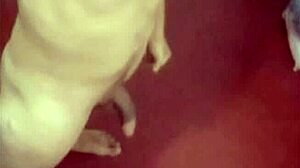 Compilation gathers all my photos showcasing different facets and personal moments