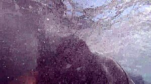 Hey, check this underwater sex with a hot milf riding that monster cock deep... she's loving every wet thrust! 💦👙