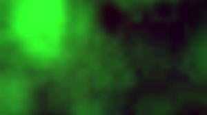 can this submissive bbw from usa handle deepthroat on cock in bed until she swallows all the cum?